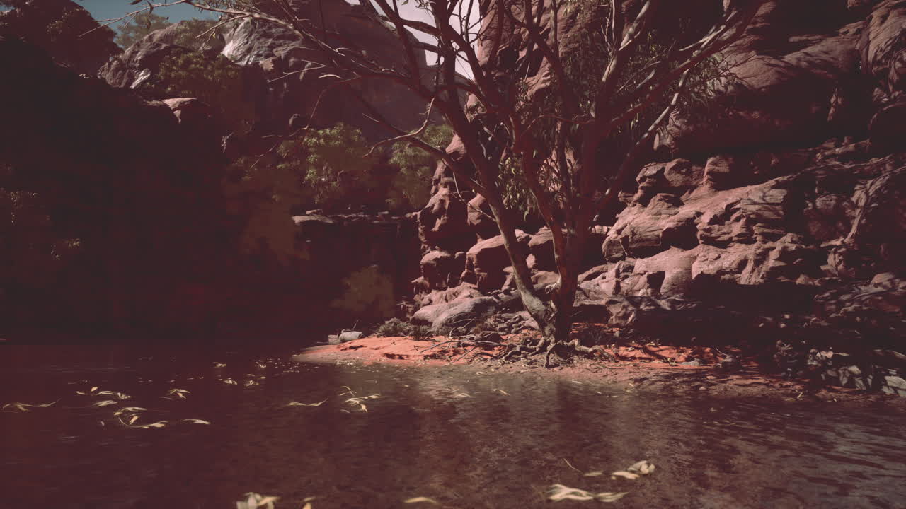 río grande entrando en el cañón de santa elena