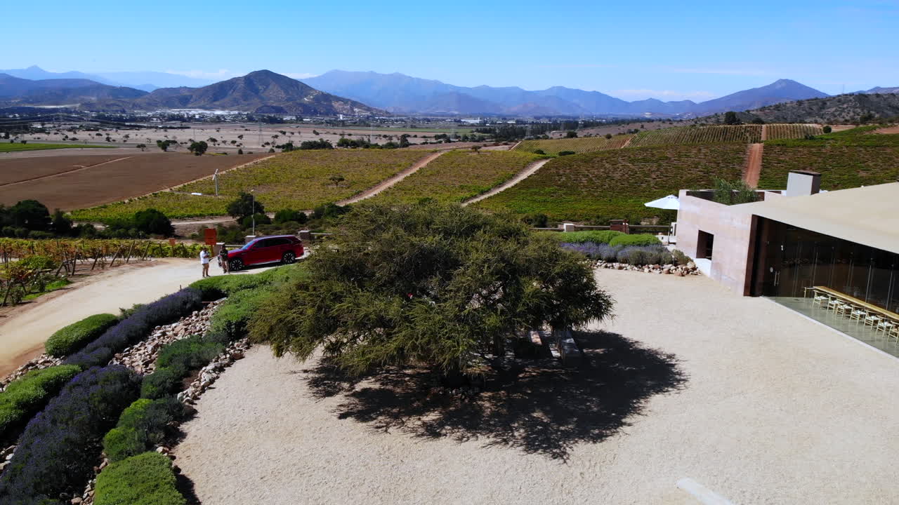 Scenic Vineyard Landscape with Modern Architecture