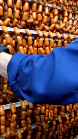 sausage production line