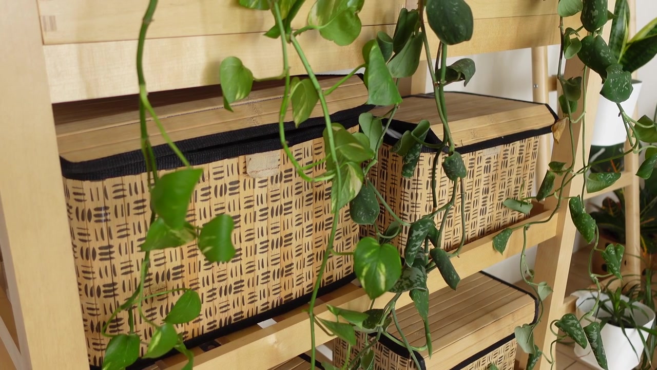 Cesti portaoggetti intrecciati su scaffale in legno con piante da interno