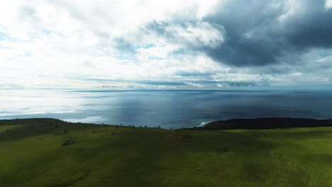 Field-close-to-South-Point-Park---Big-Island,-Hawaii,-US-coast-on-cloudy-day