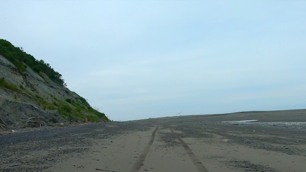 Rear POV through the rear window while driving on an isolated beach at low tide on the Kenai Peninsula of Alaska; visible are flying eagles, bluffs along the beach and Cooks Inlet