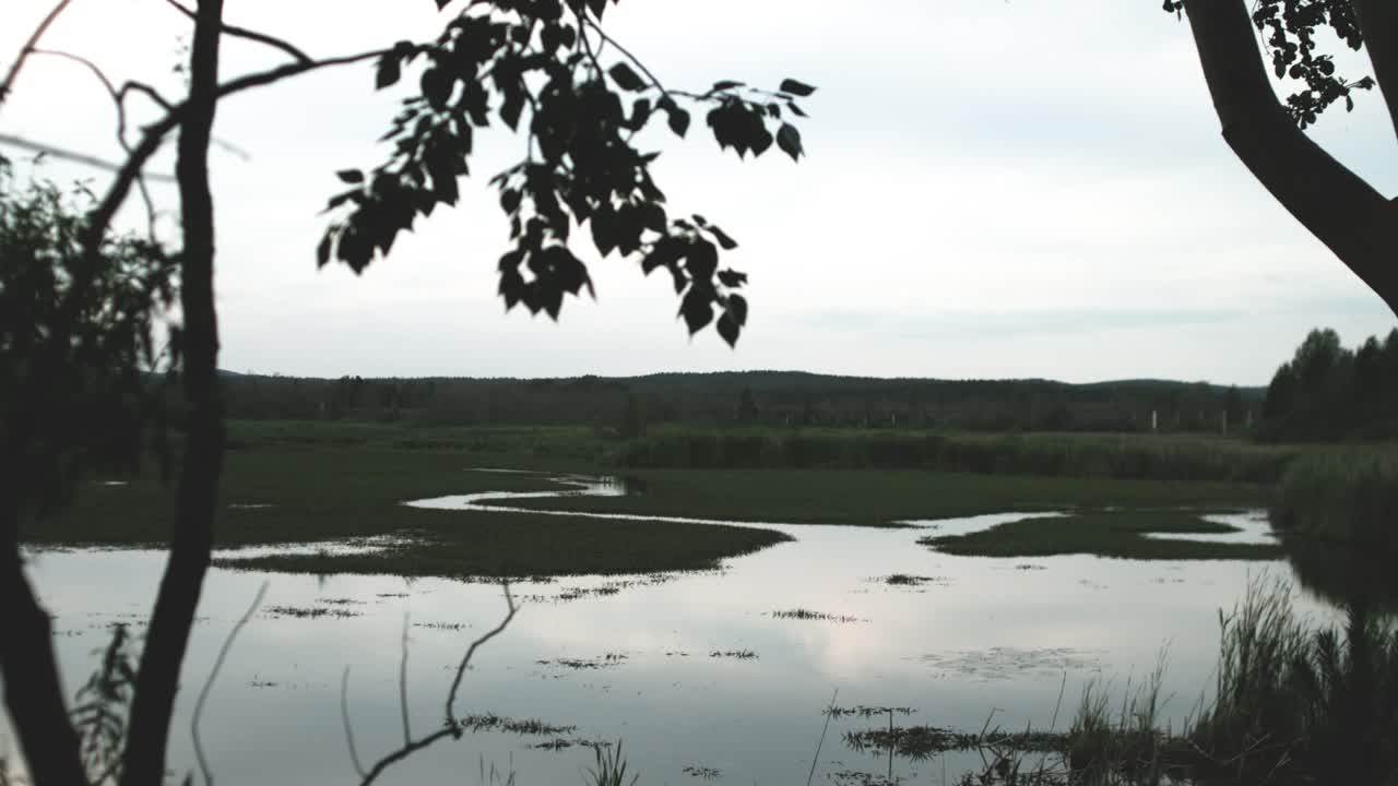 저녁 에 조용 한 습지 풍경