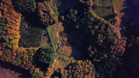 Top-Down-Aerial-Shot-High-Above-The-Camino-De-Santiago-Trail-in-Spain