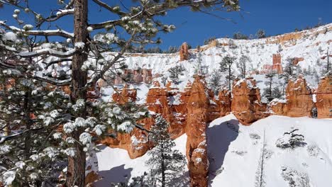 the snowcovered hoodoos alongside stunning landscapes in bryce canyon truly showcase the beauty of the snowcovered hoodoos alongside stunning landscapes in bryce canyon truly showcase the beauty of winter