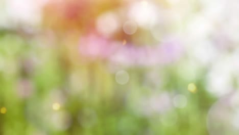 abstract spring background with bokeh