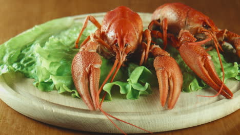 crayfish on lettuce
