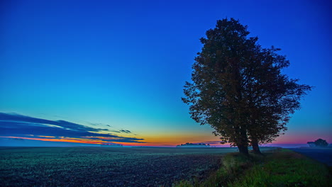 wide shot timelapse of a huge farmland with a green tree against an orange sunset under a blue sky