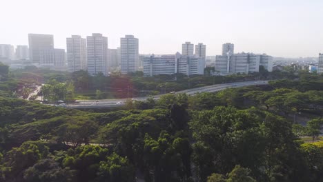 paisaje urbano de singapur con autopista y parque
