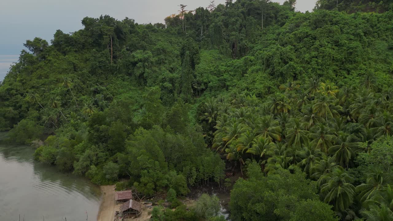 dron volando sobre una remota isla de selva tropical con un océano plano y tranquilo en el fondo