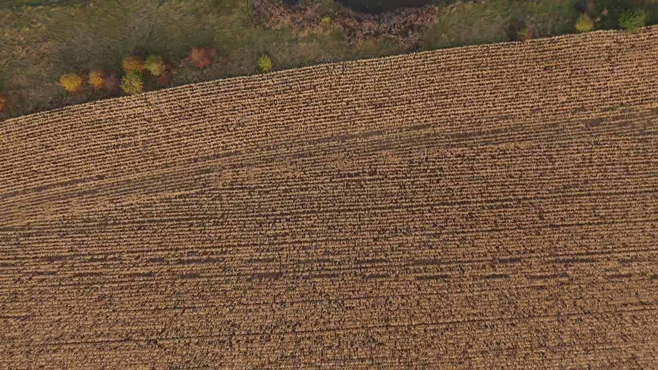 vista aérea de los paneles solares fotovoltaicos. concepto de energía limpia, energía verde, energía renovable. concepto de energia alternativa.