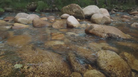 pequeño río lleno de rocas en un hermoso lugar en cámara lenta, muy detallado, cálido
