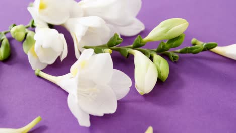 Weiße-Blumen-Geschmückt