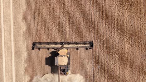 This-footage-captures-the-synergy-of-modern-agricultural-technology,-showcasing-the-essential-role-of-header-fronts-in-the-wheat-harvesting-process