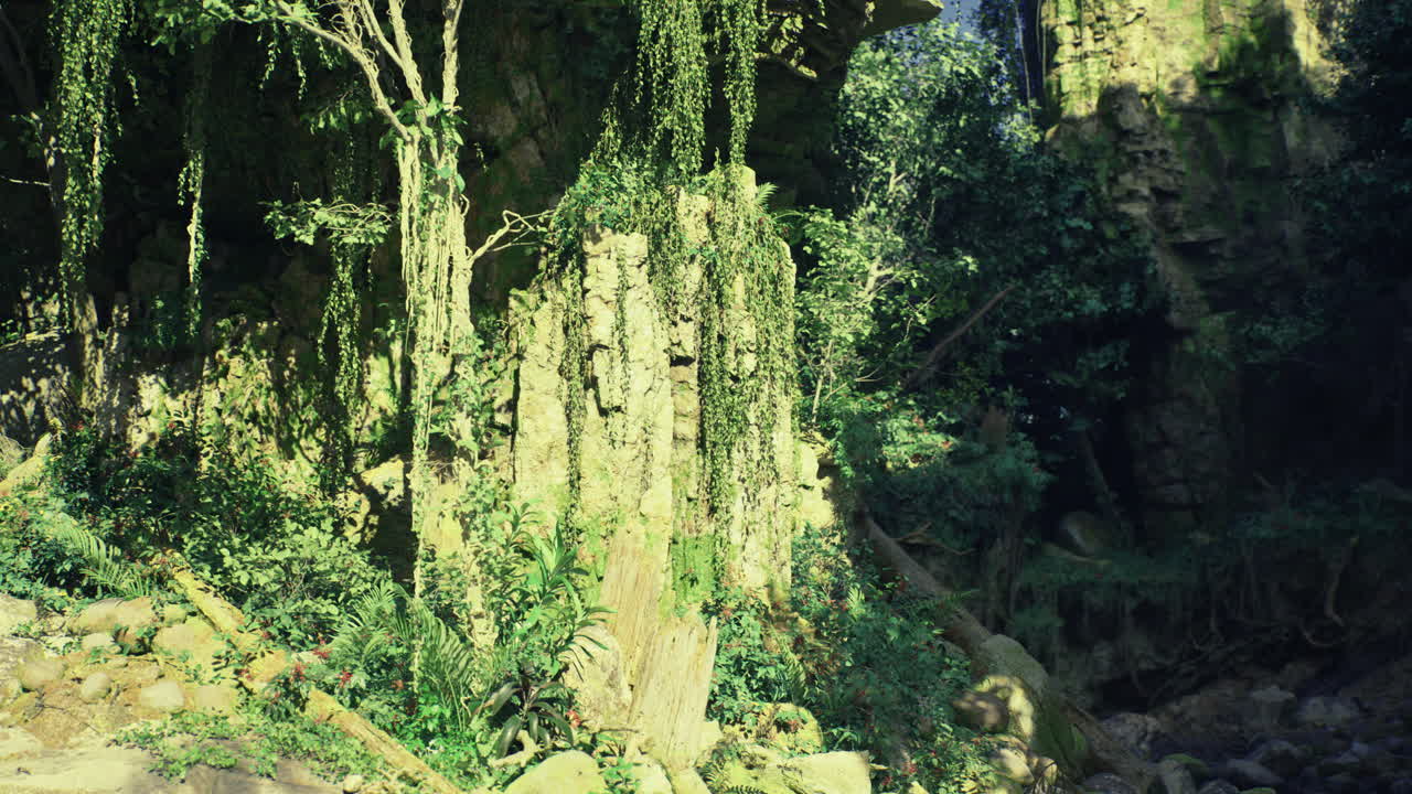 Lush greenery and rock formations in a vibrant tropical setting at midday