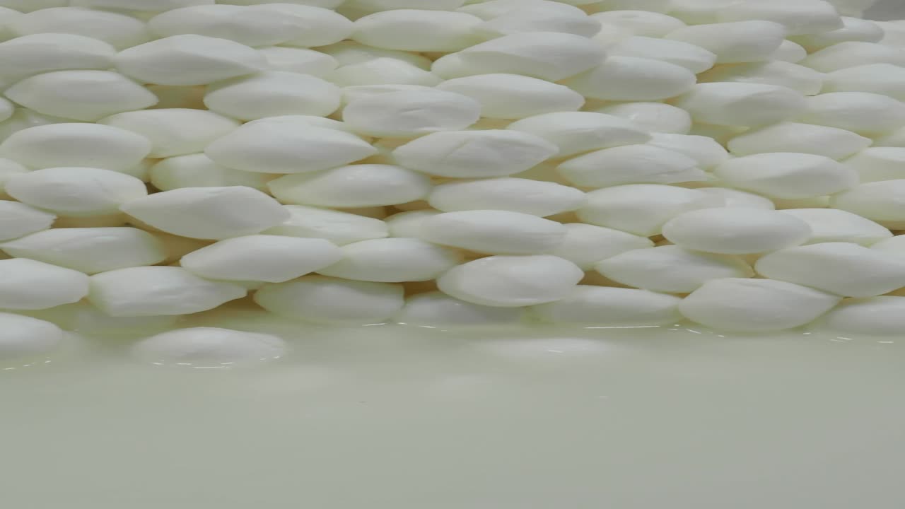 un montón de bolas de mozzarella