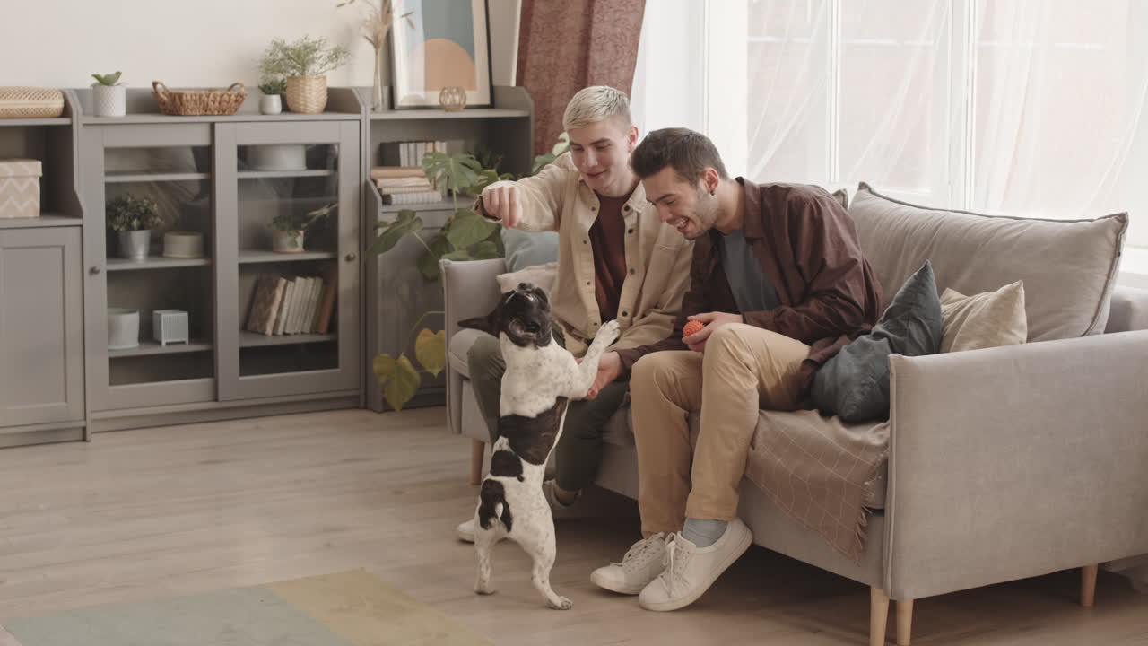 Two Young Men Training French Bulldog at Home