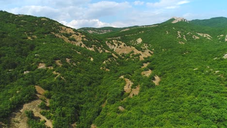 mountainous forest landscape