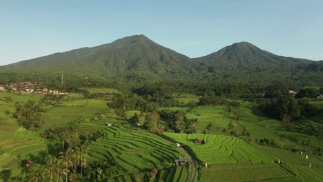 Campos-De-Arroz-Jatiluwih-En-Bali-Con-Montañas-En-El-Fondo,-Antena