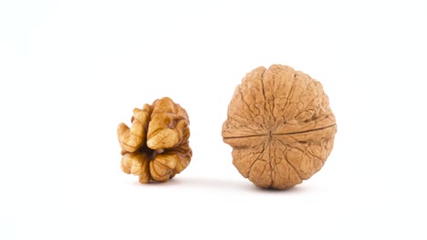 one raw walnut without the shell and one hazelnut in the shell. rotating on the turntable isolated on the white background. close up. macro.