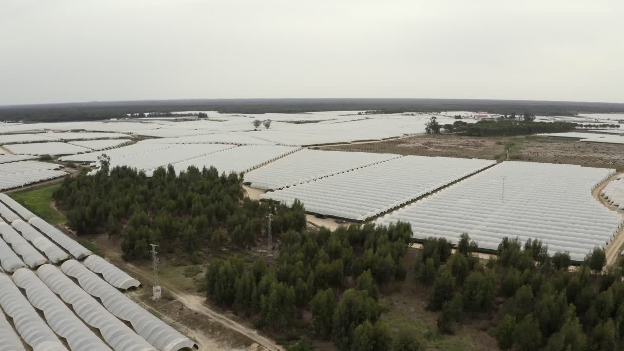 스페인의 대규모 온실 농장의 항공 영상