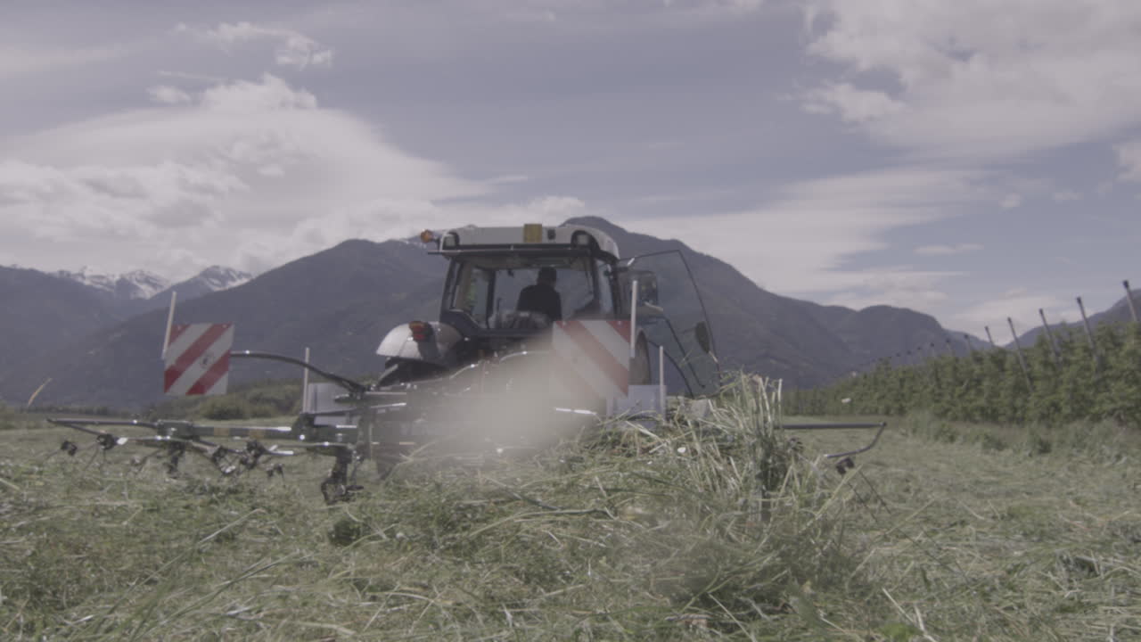 Tedder machine on tractor rear throwing hay, modern grass mowing