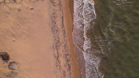 Vogelperspektive,-Die-Von-Den-Wellen-Aufsteigt,-Die-Am-Sandufer-An-Einem-Karibischen-Meeresstrand-Brechen