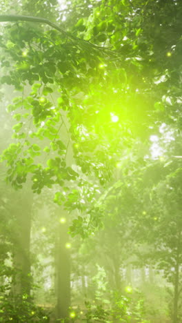 magic of glowing fireflies in a lush forest during a summer night