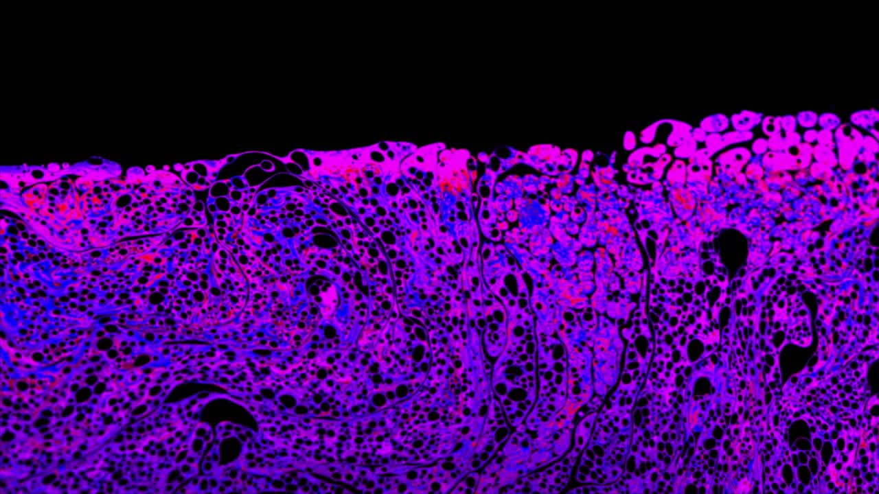 Dynamic Liquid Surface with Vibrant Purple and Magenta Bubbles