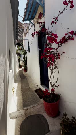 traditional whitewashed house in a narrow athens alley