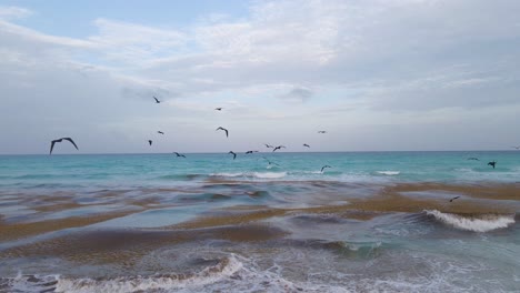Flock-of-pelicans-flying-over-sea-water