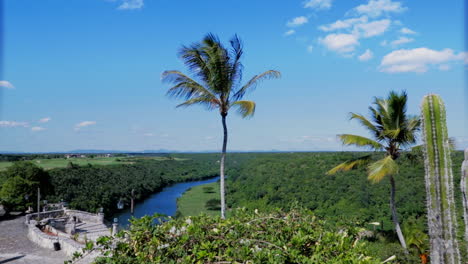 Dolly-in-of-a-caribbean-river-landscape-with-a-palm-tree-in-the-center-and-a-cactus-to-the-right-of-the-frame