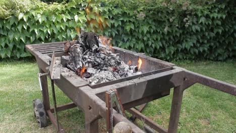 un braai o barbacoa en el jardín