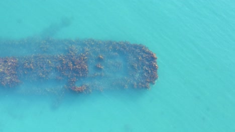 Algen,-Die-Auf-Alten-Versunkenen-Schiffen-Im-Klaren-Blauen-Wasser-Von-Island-Wachsen,-Aus-Der-Luft