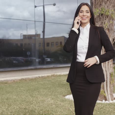 elegant businesswoman chatting on her mobile