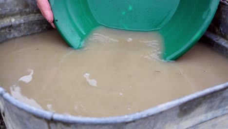 gold panning black silt, sand, clay, and gravel alluvial deposits in green trap pan, wetting, soaking, fingering, agitating and washing in brown water, looking at nuggets, static close up portrait