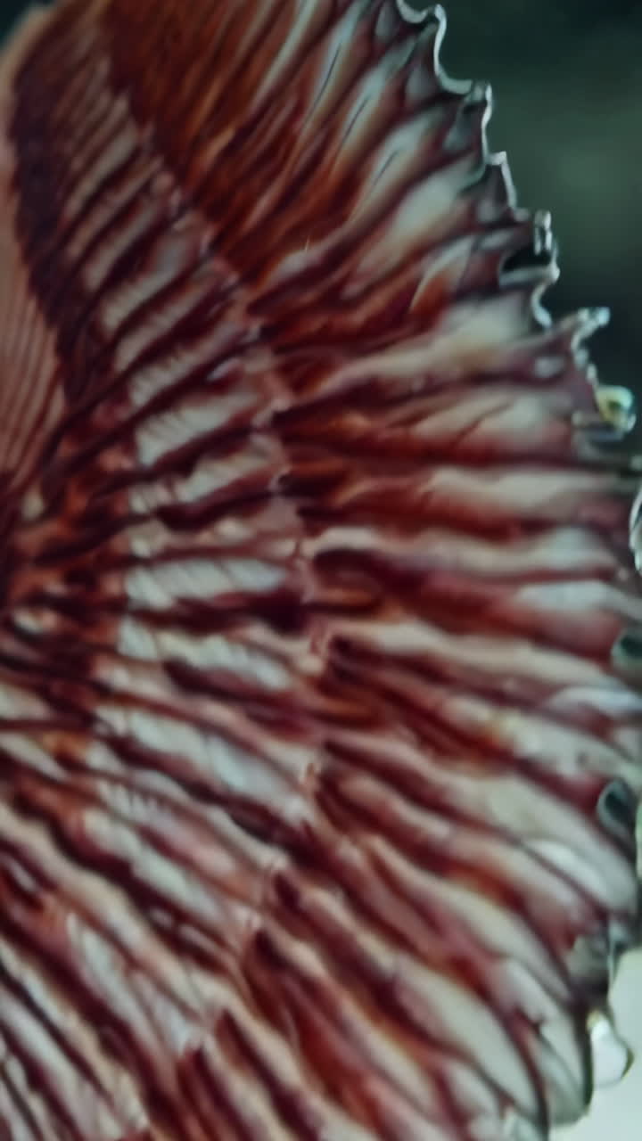 detalle de arte abstracto de un diseño floral