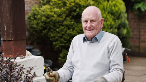 elderly man gardening in wheelchair