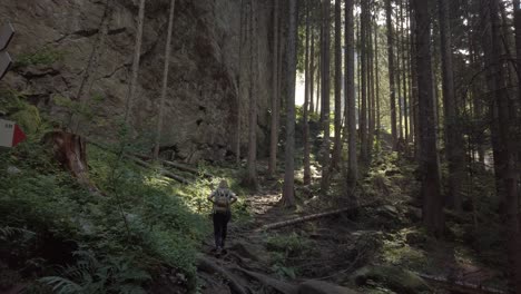 sport holiday maker woman go hiking in the rainforest