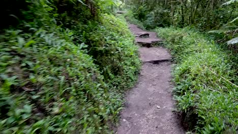 pov hiperlapso caminando por el sendero del bosque, subiendo colinas sobre escalones, registra el sendero de piedra