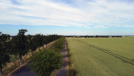 stunning aerial view flight slider fly sideways from left to right drone footage
over empty street and cornfield in europe saxony anhalt at summer 2022