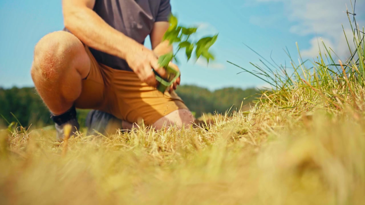 Man Squats Down In A Rural Farmland Field And Carefully Plants A Small Green Sapling In The Soil. close-up shot