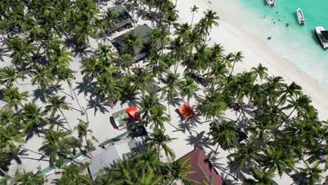 Toma-Aérea-De-Establecimiento-De-Una-Playa-Tropical-Vacacional-En-La-Isla-Saona-En-La-República-Dominicana