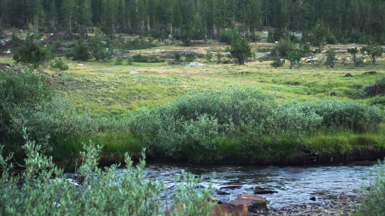 Playing fetch with German Shepherd in scenic natural landscape