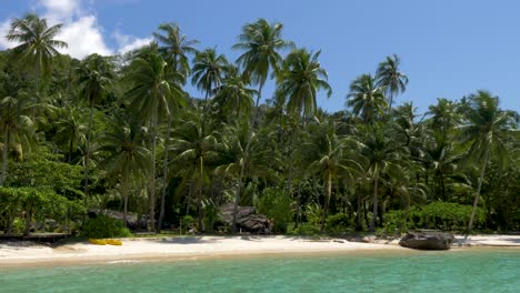 playa de arena blanca con cocoteros