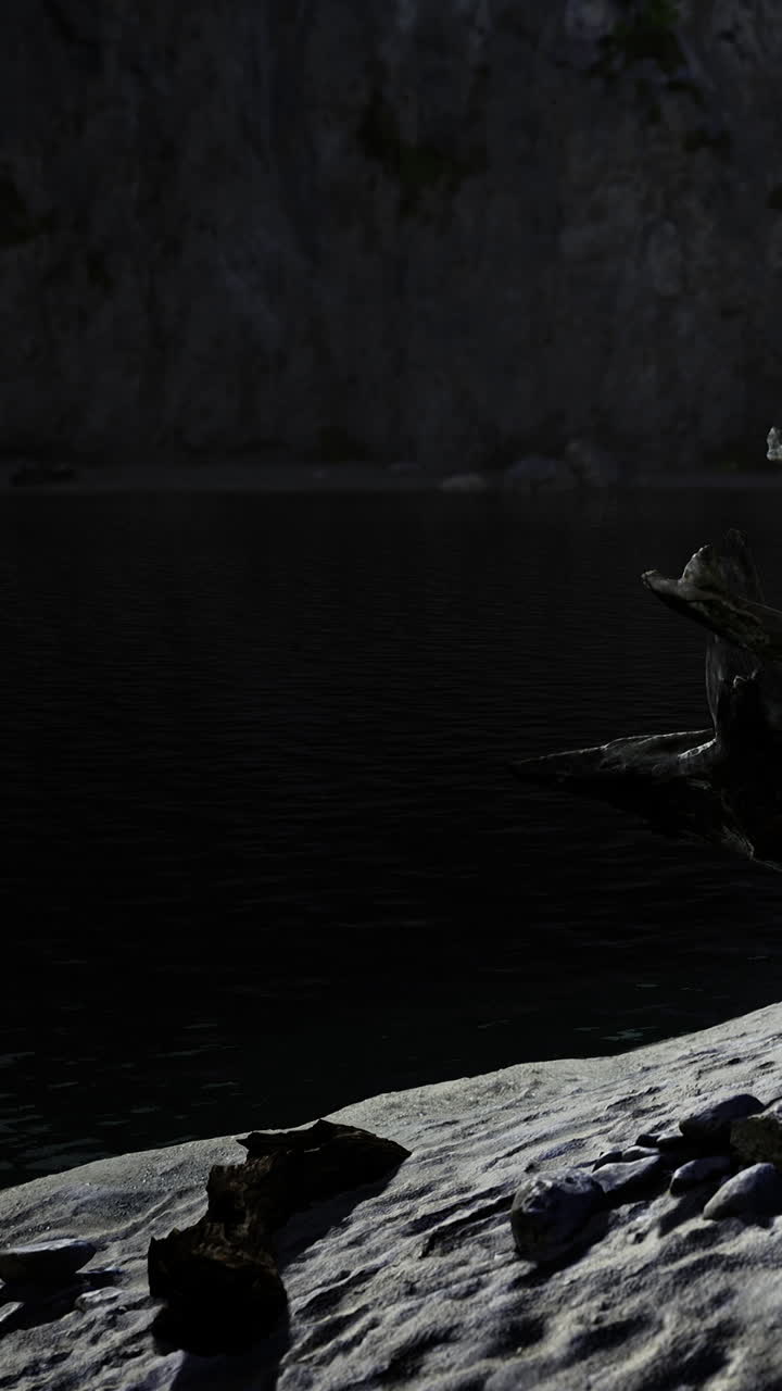 Dark landscape with water and rocks near a forest at night