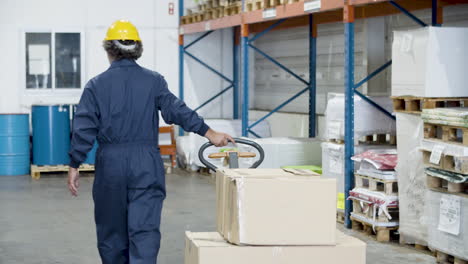 Back-view-of-a-male-worker-pulling-trolley-with-goods-in-warehouse