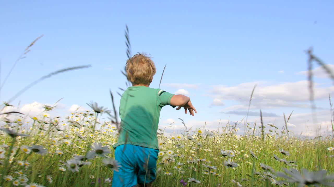 사탕수수 들 을 가로질러 달리는 소년