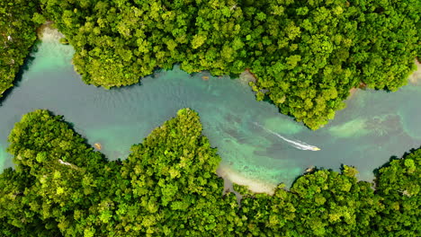 need holiday ideas? look no further!