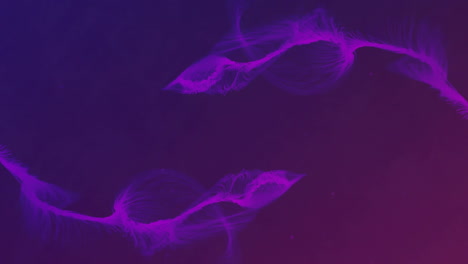 animation of multiple white strokes spinning on seamless loop over purple light trails